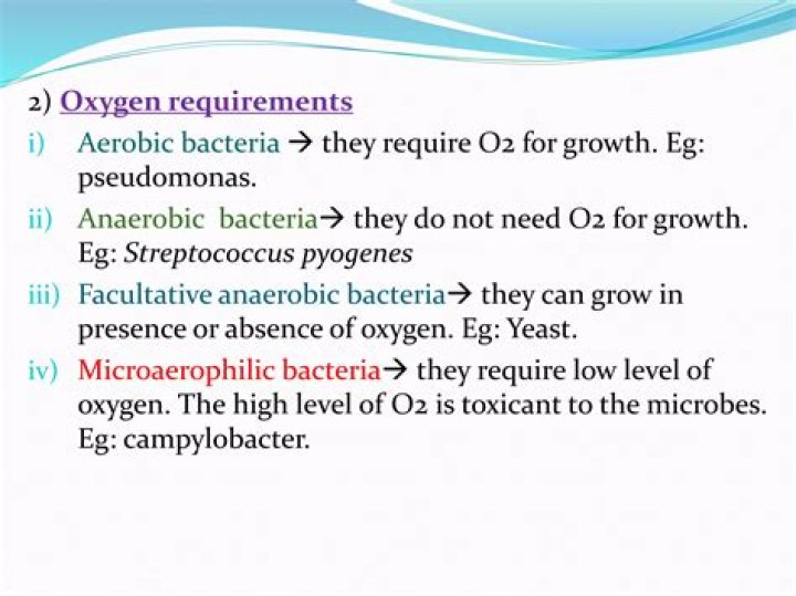What do aerobic bacteria require?
