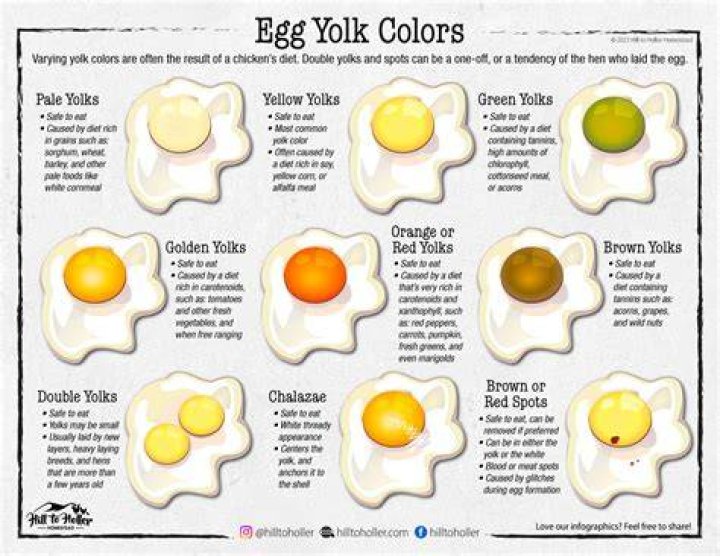 What eggs have red yolks?