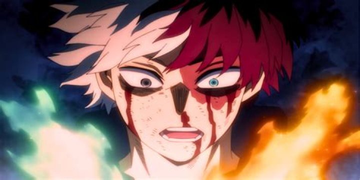 What is fuyumi Todoroki quirk?